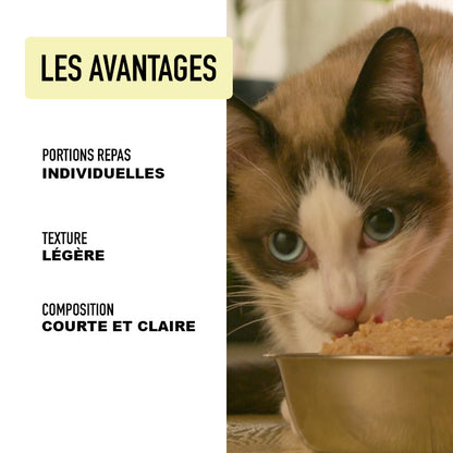 Mousse chat poulet - Atavik