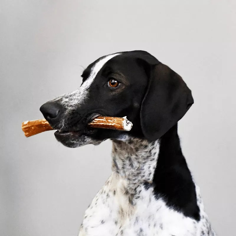 Nerf de bœuf - Canigourmand