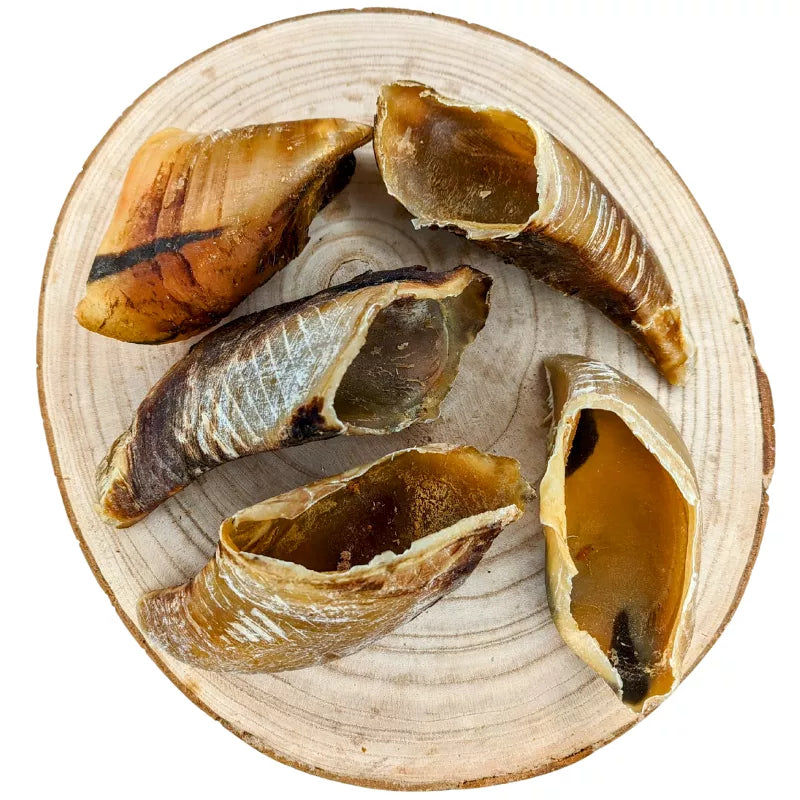 Sabot de bœuf - Canigourmand