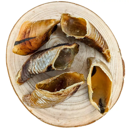 Sabot de bœuf - Canigourmand