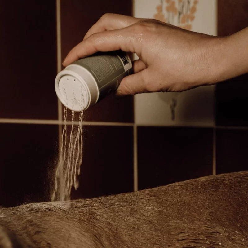 Shampoing poudre moussant - Nellumbo